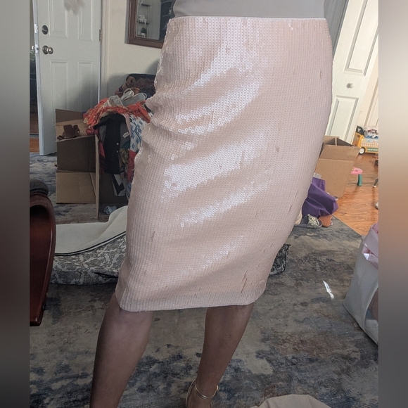 Express: Elegant Sequin Pencil Skirt - Cream/Pale Blush Pink Size S - Picture 4 of 6